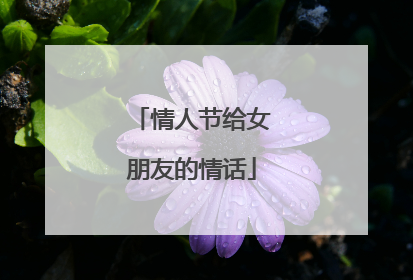 情人节给女朋友的情话