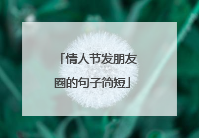 情人节发朋友圈的句子简短