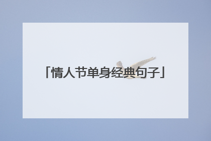 情人节单身经典句子