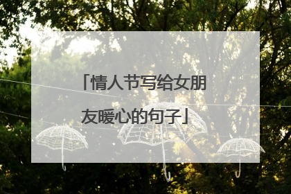 情人节写给女朋友暖心的句子