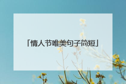 情人节唯美句子简短