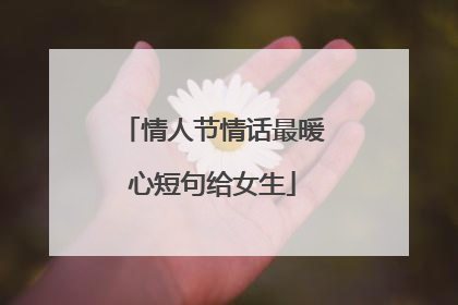 情人节情话最暖心短句给女生