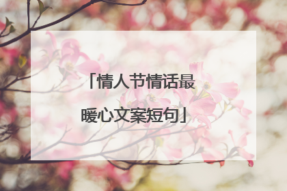 情人节情话最暖心文案短句