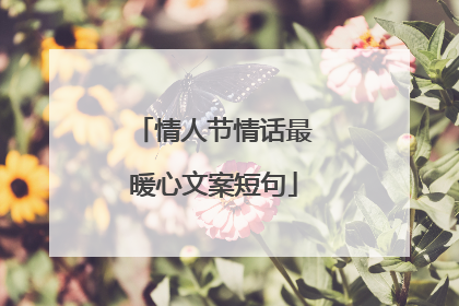 情人节情话最暖心文案短句