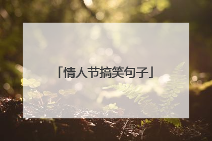 情人节搞笑句子
