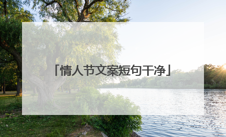 情人节文案短句干净