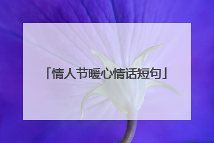 情人节暖心情话短句