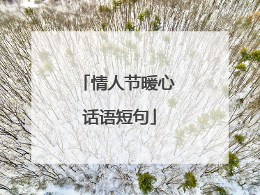 情人节暖心话语短句