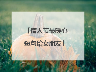情人节最暖心短句给女朋友