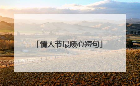 情人节最暖心短句