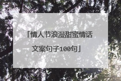 情人节浪漫甜蜜情话文案句子100句
