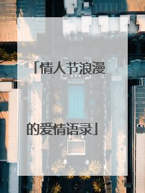 情人节浪漫的爱情语录