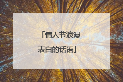 情人节浪漫表白的话语