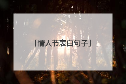 情人节表白句子