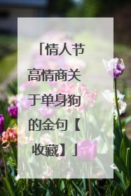 情人节高情商关于单身狗的金句【收藏】