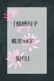 情感句子唯美10字短句