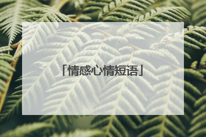 情感心情短语