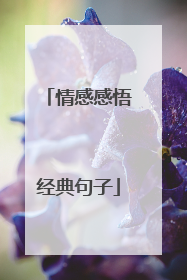 情感感悟经典句子