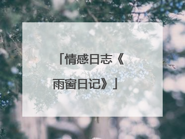 情感日志《雨窗日记》