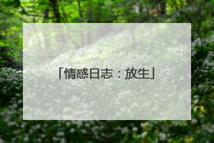 情感日志:放生