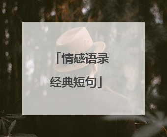 情感语录经典短句
