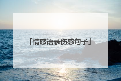 情感语录伤感句子