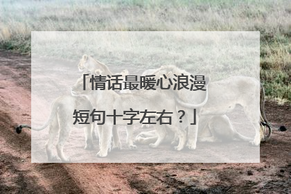 情话最暖心浪漫短句十字左右?