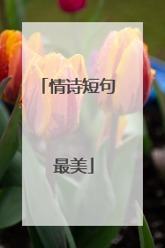 情诗短句 最美