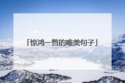 惊鸿一瞥的唯美句子