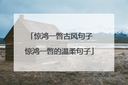 惊鸿一瞥古风句子 惊鸿一瞥的温柔句子