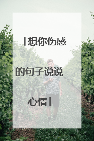 想你伤感的句子说说心情