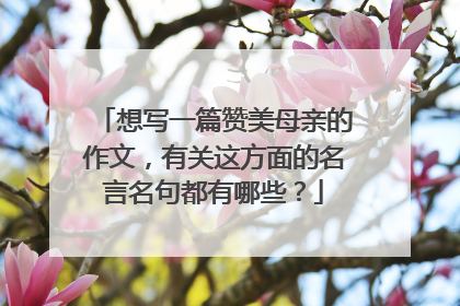 想写一篇赞美母亲的作文，有关这方面的名言名句都有哪些？