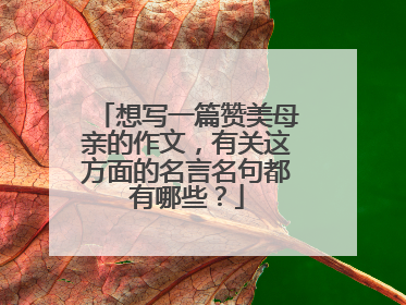 想写一篇赞美母亲的作文,有关这方面的名言名句都有哪些?
