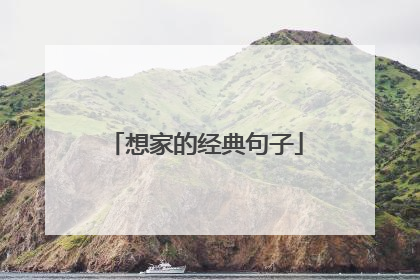 想家的经典句子