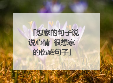 想家的句子说说心情 很想家的伤感句子