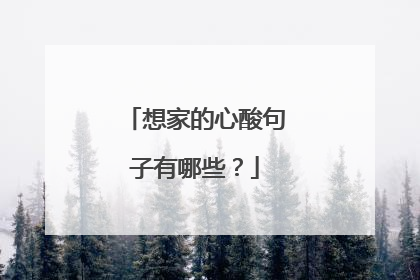 想家的心酸句子有哪些?