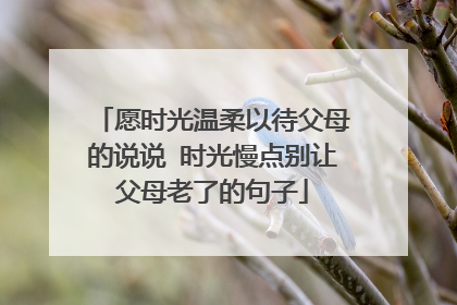 愿时光温柔以待父母的说说 时光慢点别让父母老了的句子