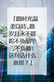 愿时光温柔以待,愿岁月永不蹉跎不负韶华,不负卿!这句话什么意思?