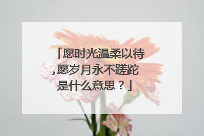 愿时光温柔以待,愿岁月永不蹉跎是什么意思?
