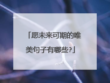 愿未来可期的唯美句子有哪些?