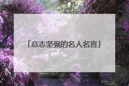 意志坚强的名人名言