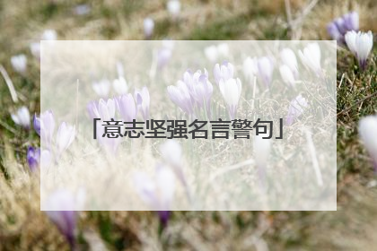 意志坚强名言警句