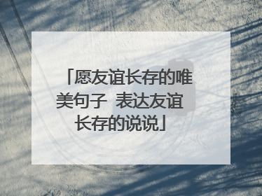 愿友谊长存的唯美句子 表达友谊长存的说说