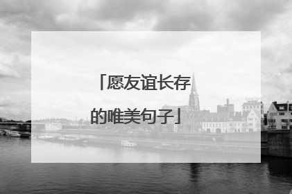 愿友谊长存的唯美句子