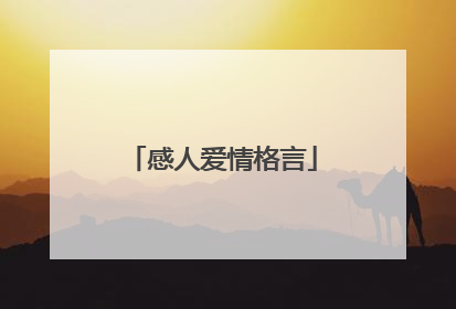 感人爱情格言