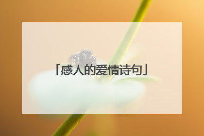 感人的爱情诗句