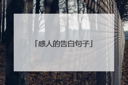 感人的告白句子