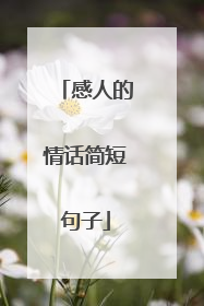 感人的情话简短句子