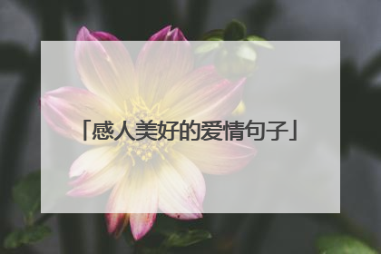 感人美好的爱情句子