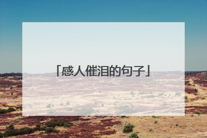 感人催泪的句子